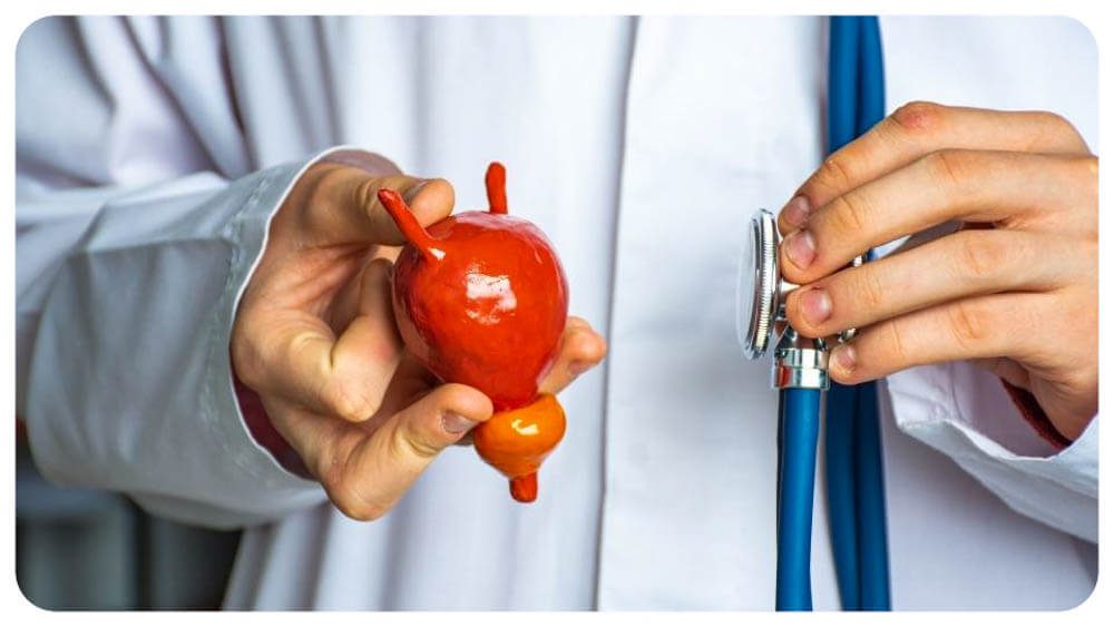 Man cycling on a quiet road in the early morning